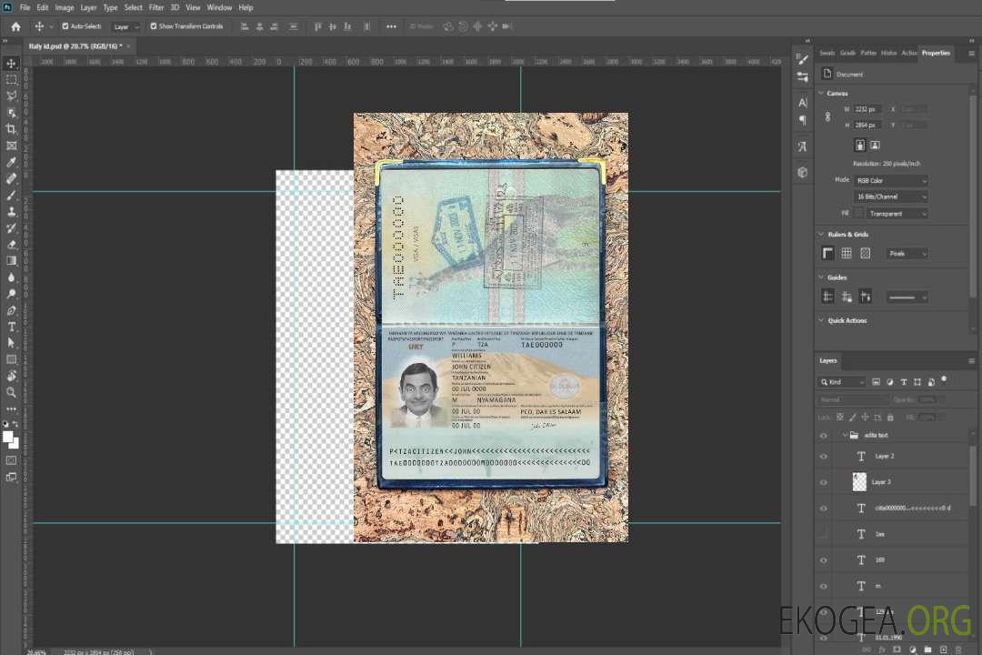 Nouveau photolook du passeport tanzanien 2019-présent template